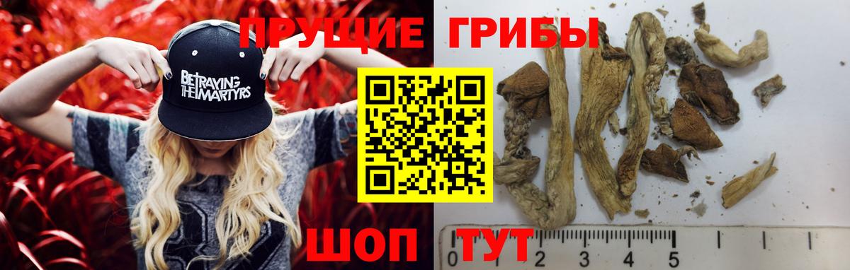 Галлюциногенные грибы мицелий  Вход с VPN  Павлово 