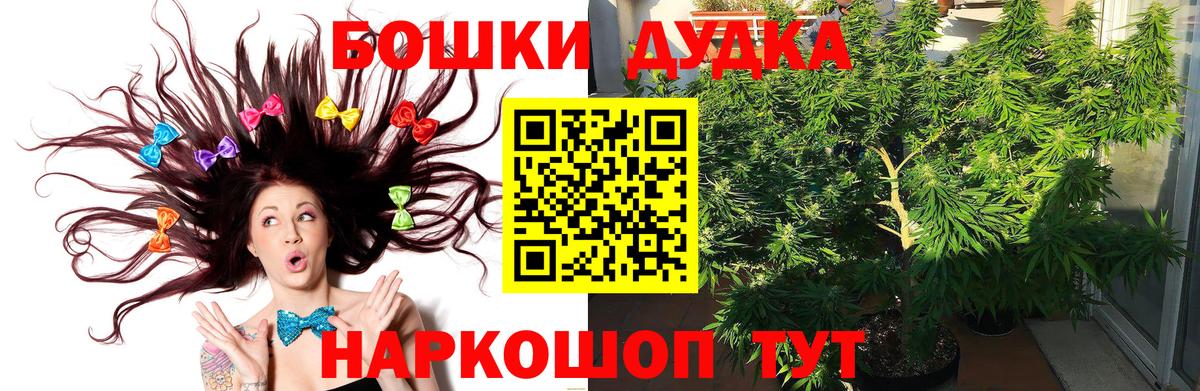 Бошки Шишки семена Павлово